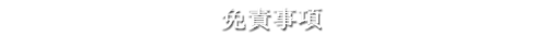 免責事項